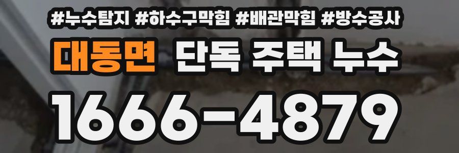 대동면 단독 주택 누수