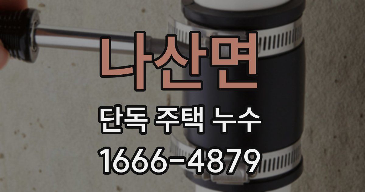 나산면 단독 주택 누수