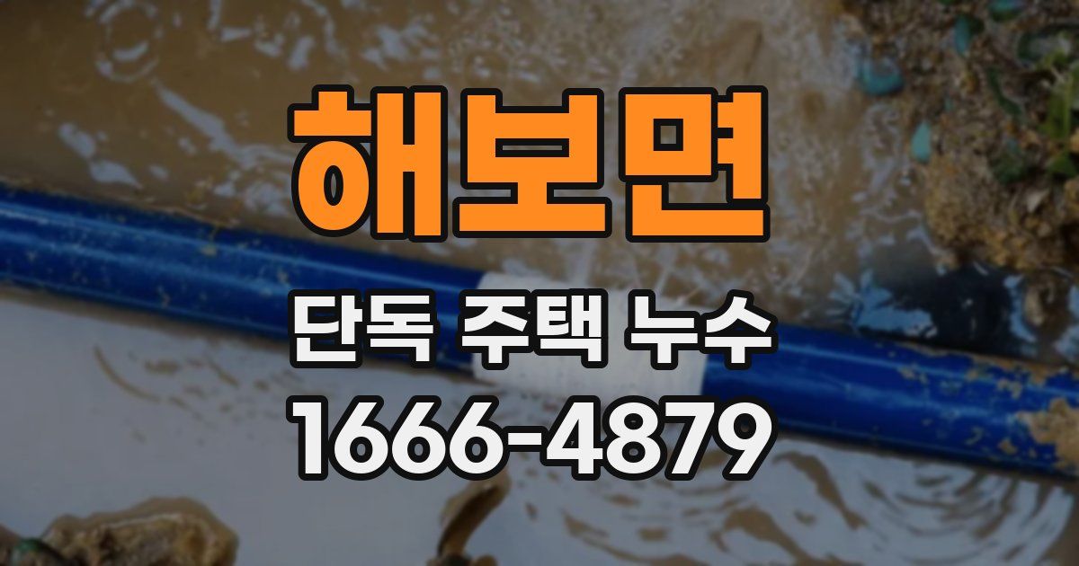 해보면 단독 주택 누수