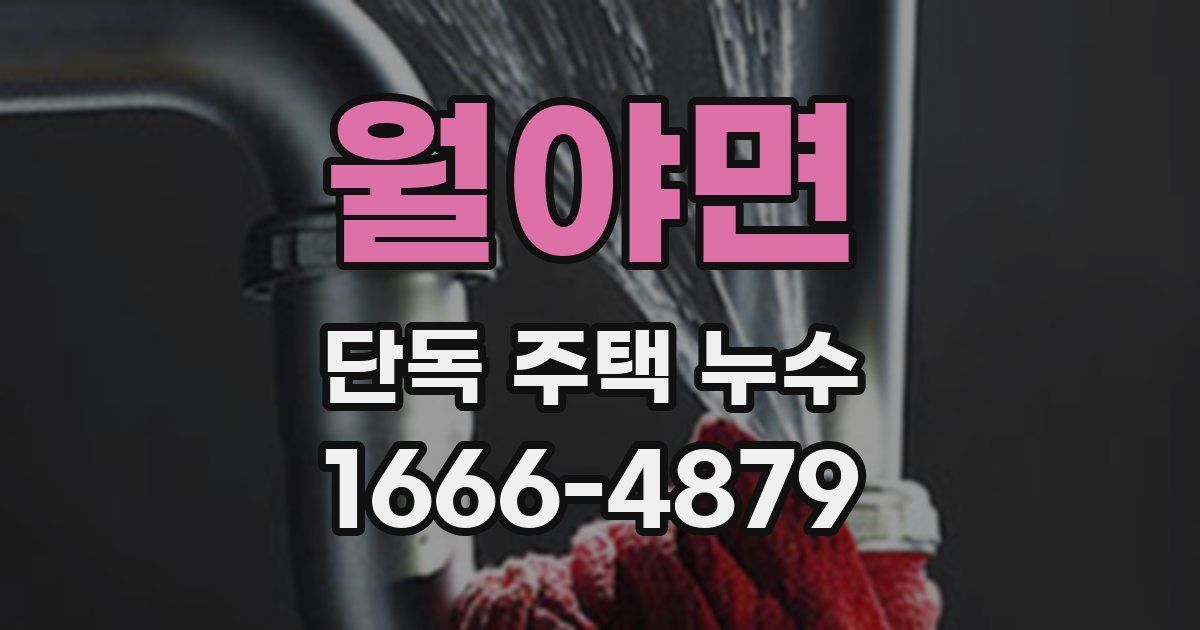월야면 단독 주택 누수