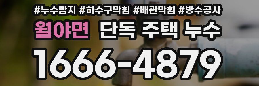월야면 단독 주택 누수