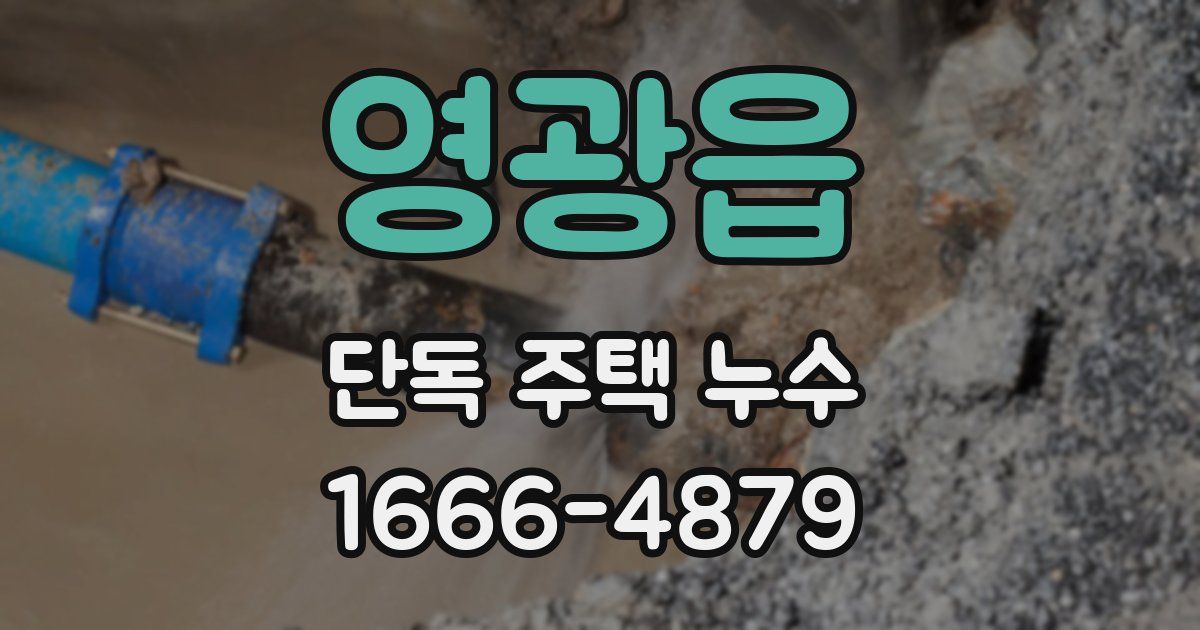 영광읍 단독 주택 누수