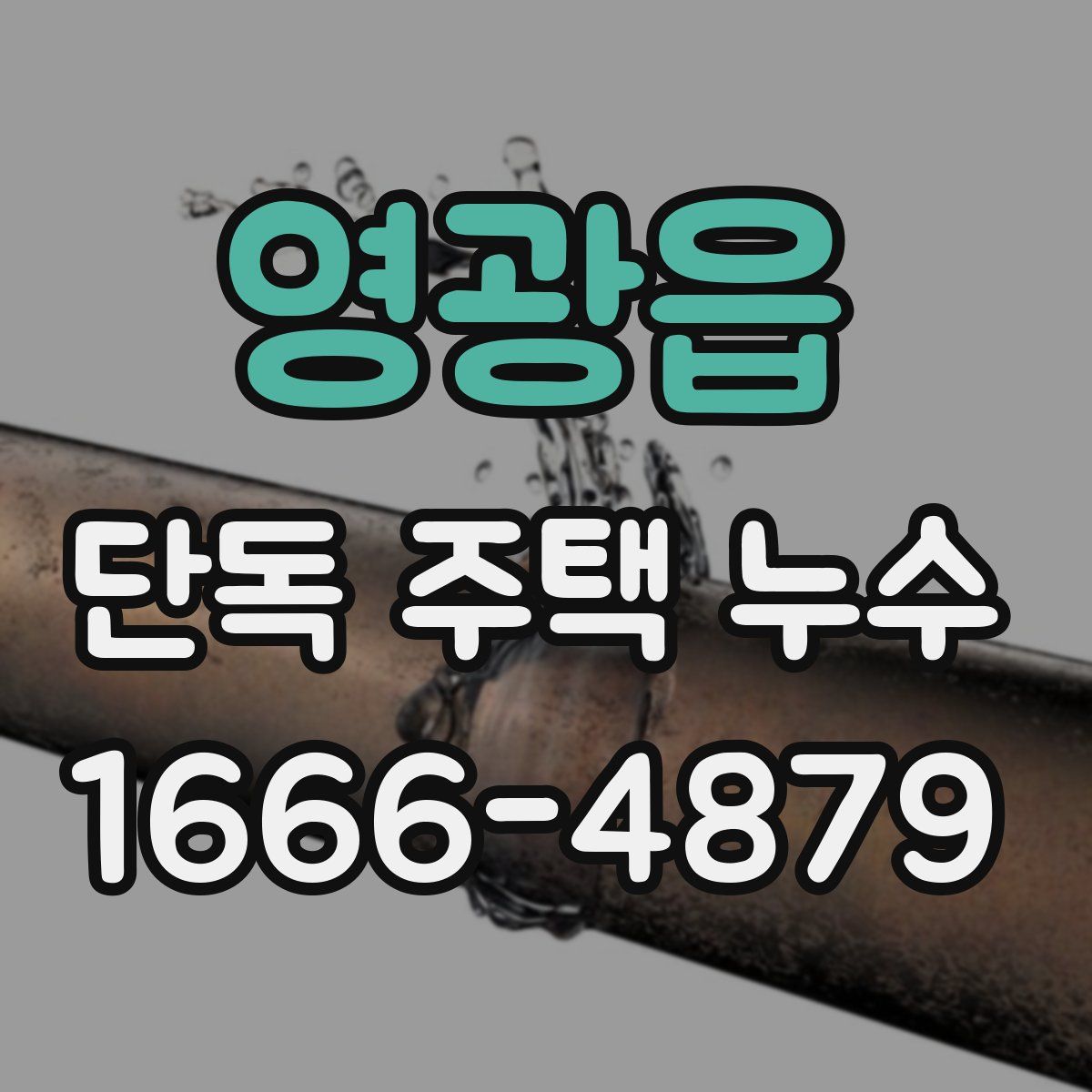 영광읍 단독 주택 누수