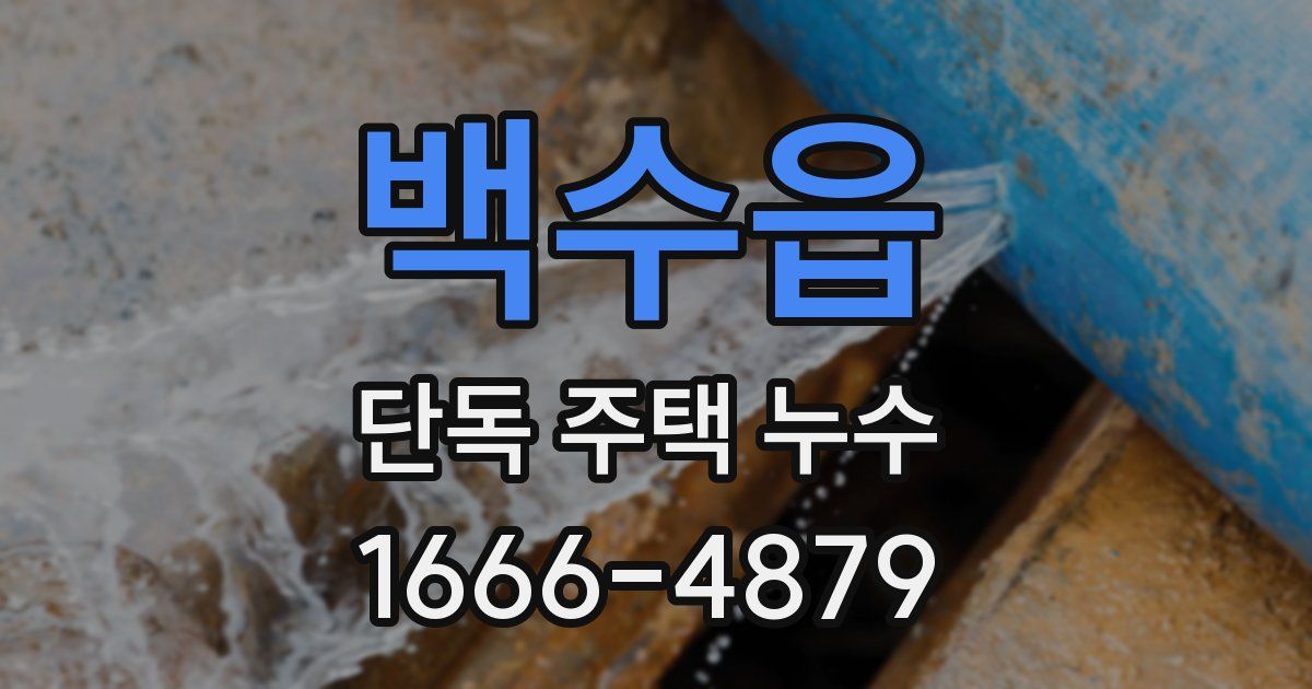 백수읍 단독 주택 누수