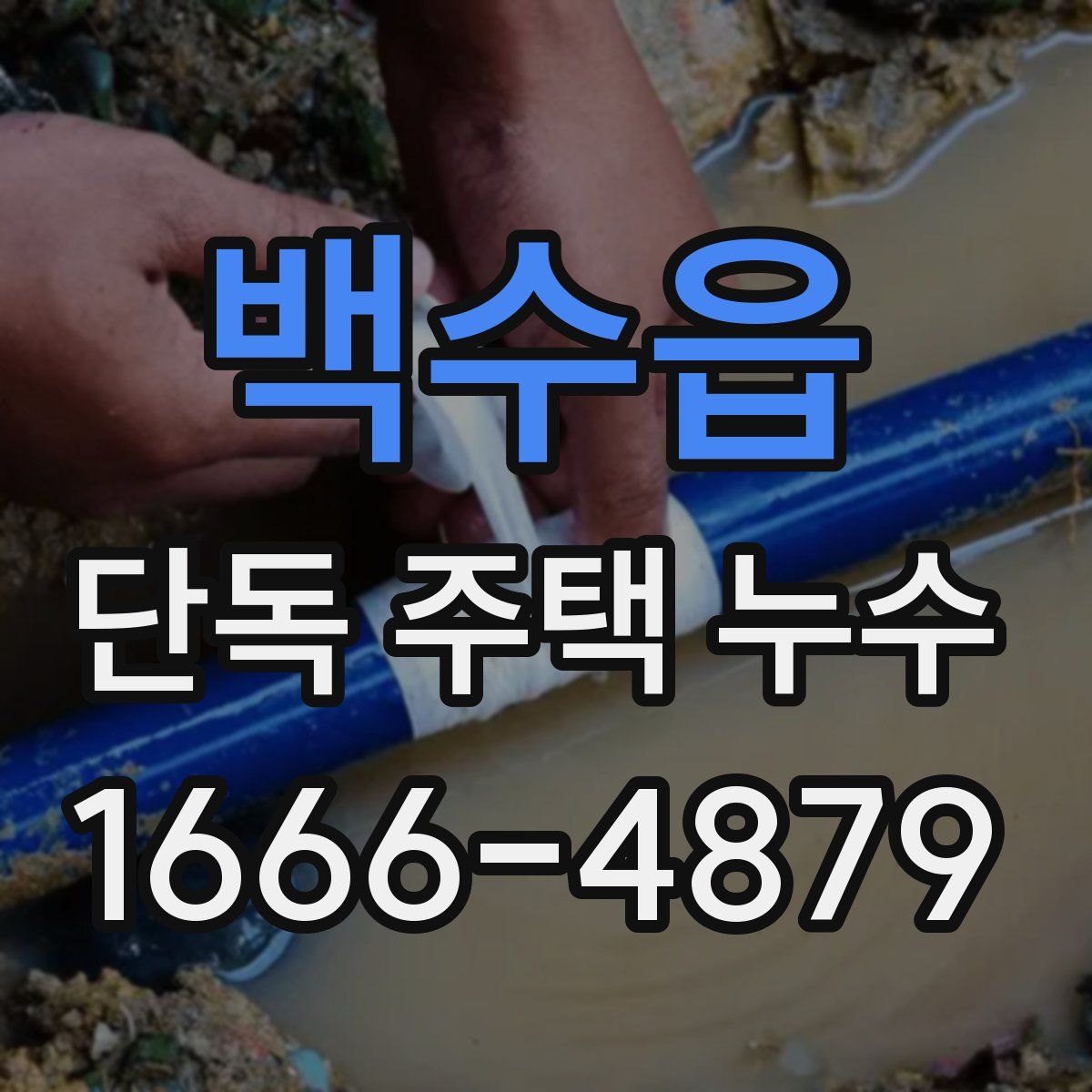 백수읍 단독 주택 누수