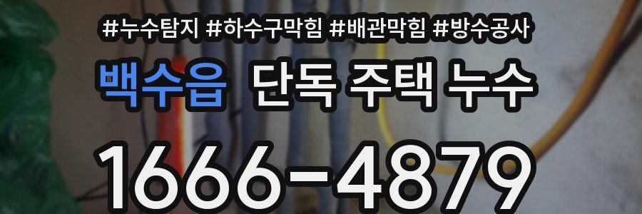 백수읍 단독 주택 누수