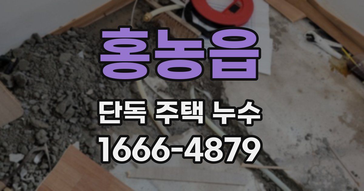 홍농읍 단독 주택 누수