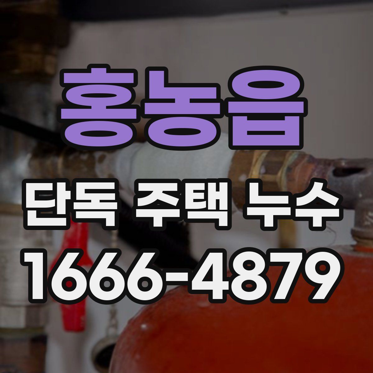 홍농읍 단독 주택 누수