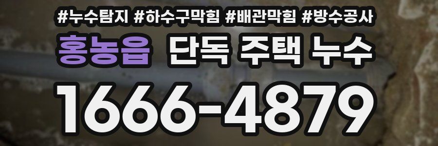 홍농읍 단독 주택 누수