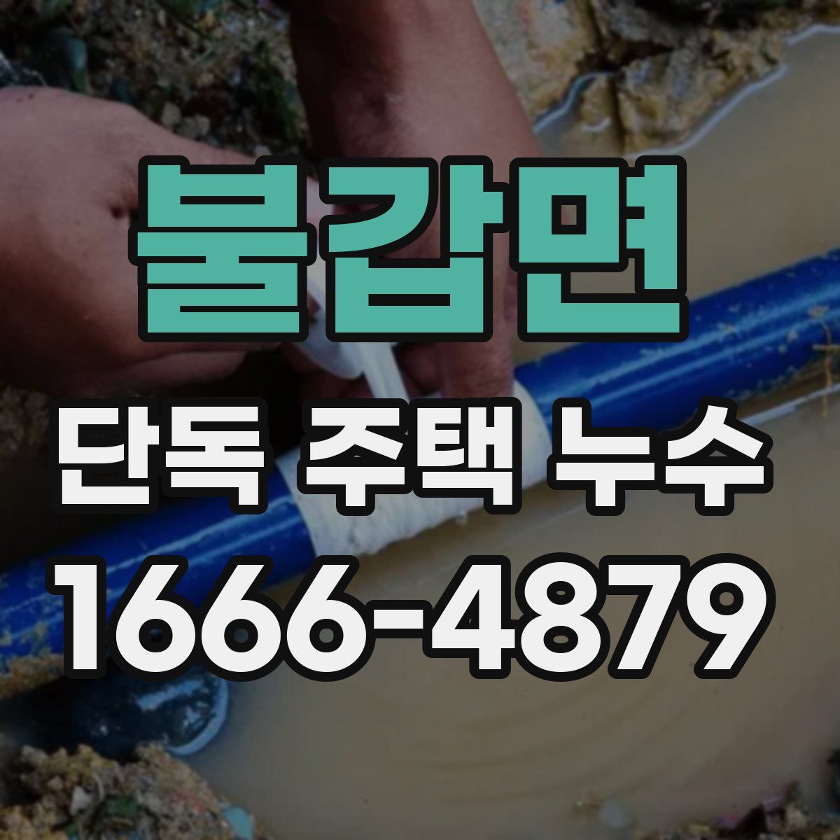 불갑면 단독 주택 누수