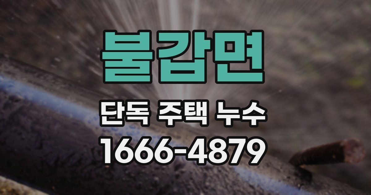 불갑면 단독 주택 누수