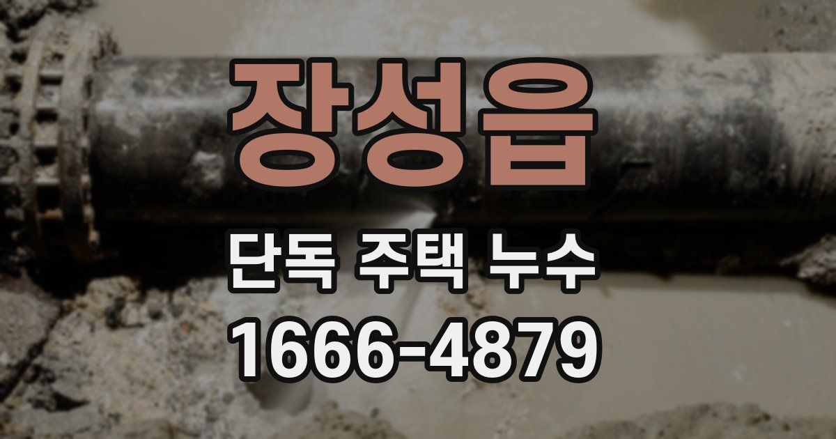 장성읍 단독 주택 누수