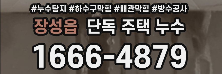 장성읍 단독 주택 누수