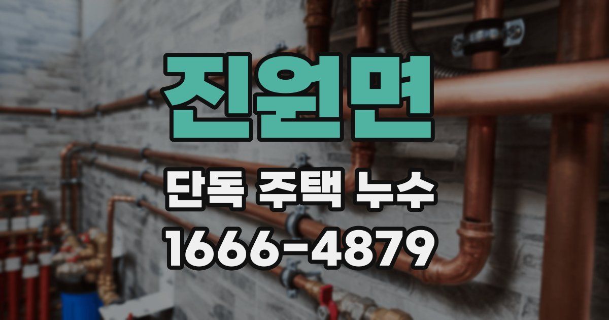 진원면 단독 주택 누수