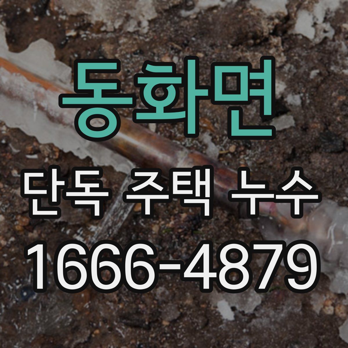 동화면 단독 주택 누수