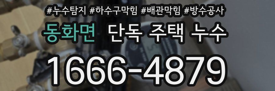 동화면 단독 주택 누수