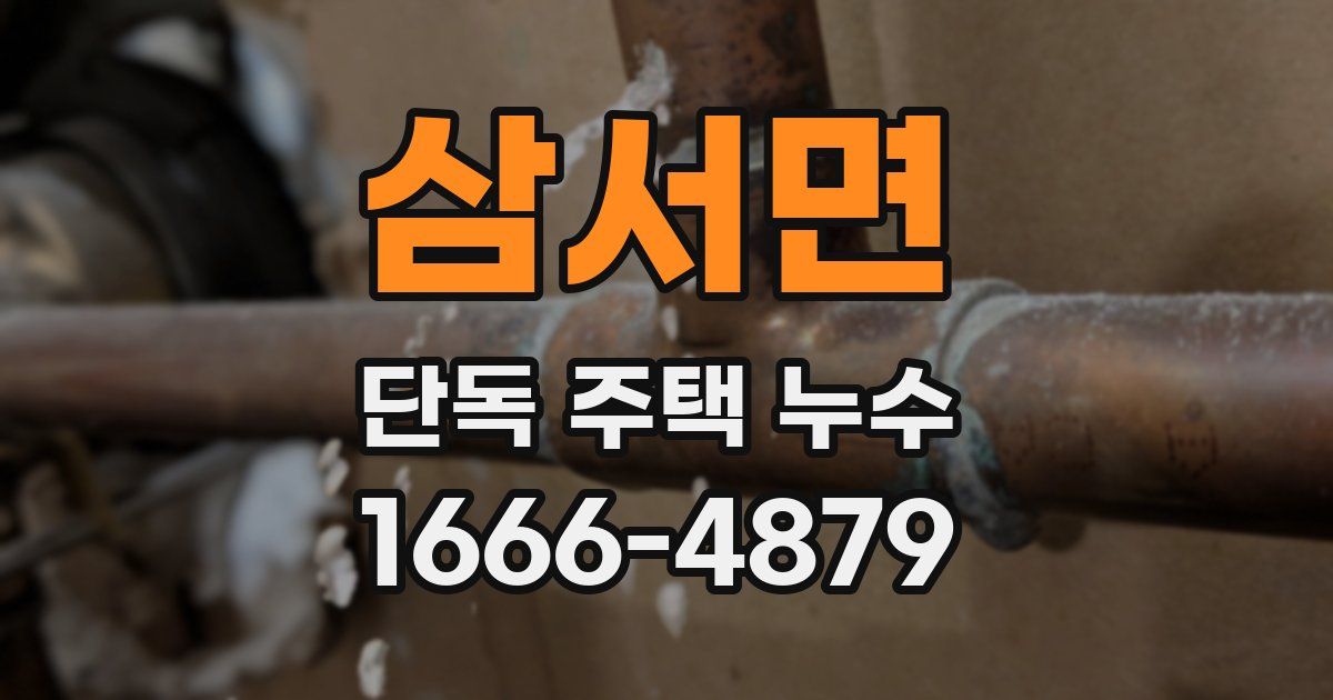 삼서면 단독 주택 누수