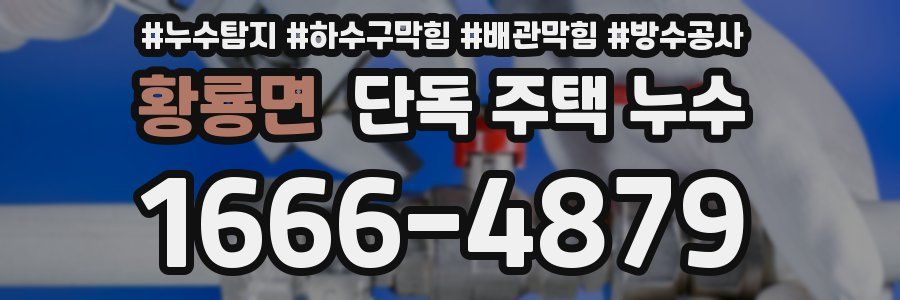 황룡면 단독 주택 누수