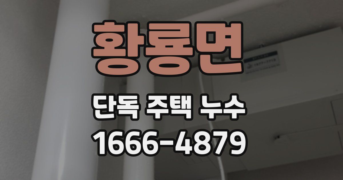 황룡면 단독 주택 누수