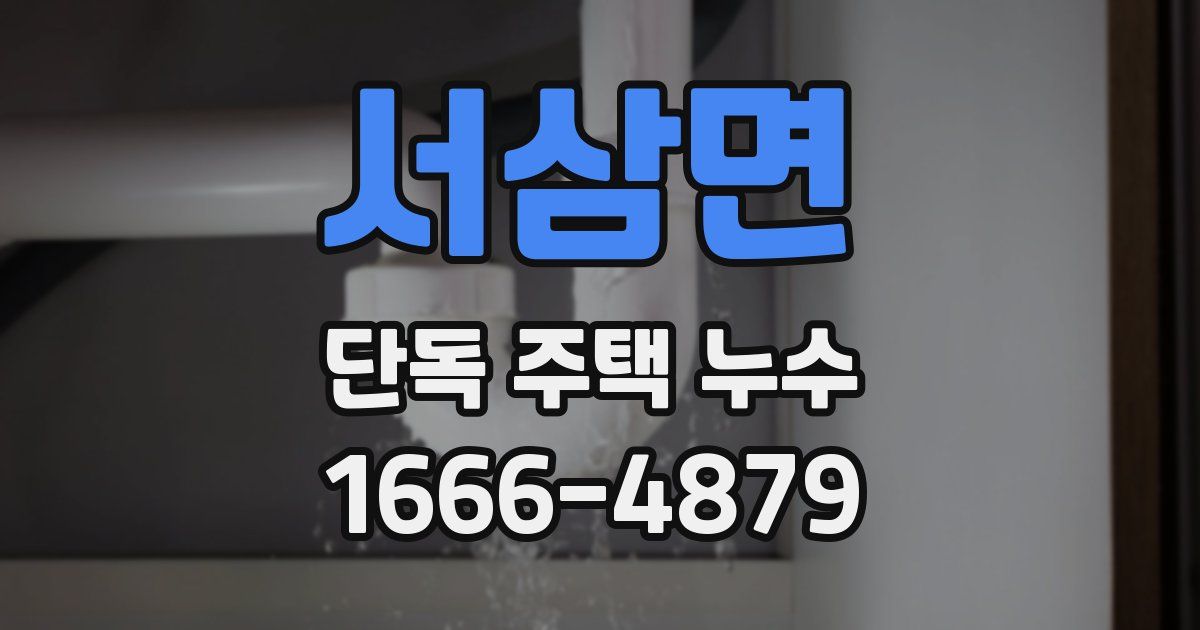 서삼면 단독 주택 누수