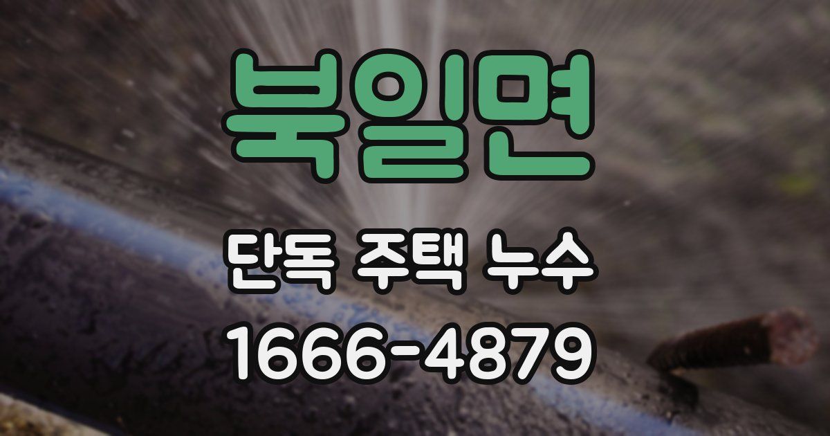 북일면 단독 주택 누수