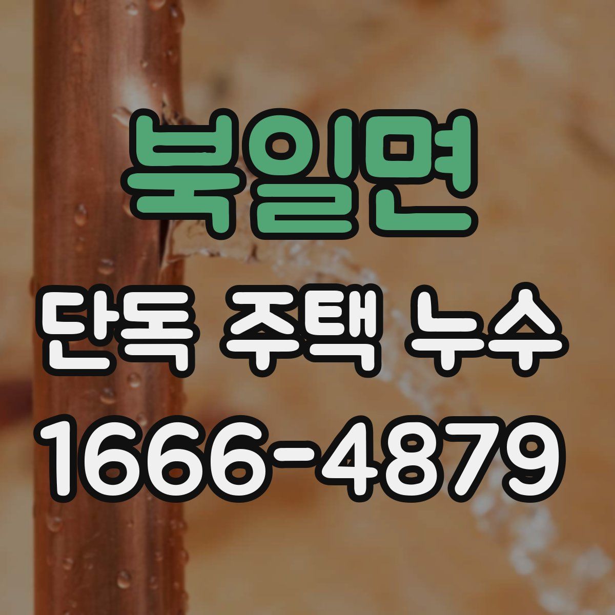 북일면 단독 주택 누수