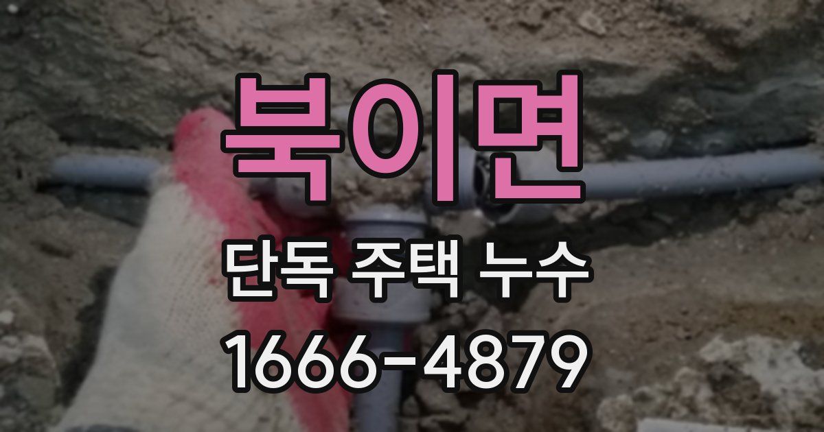 북이면 단독 주택 누수