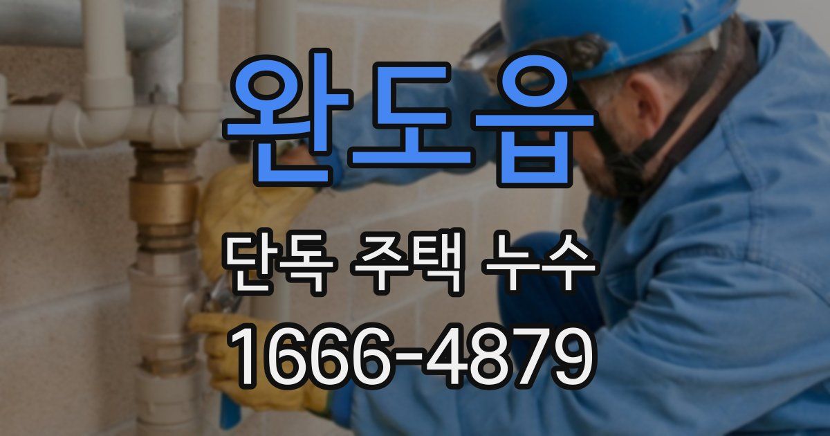 완도읍 단독 주택 누수