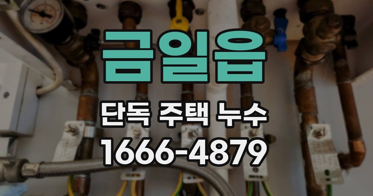 금일읍 단독 주택 누수
