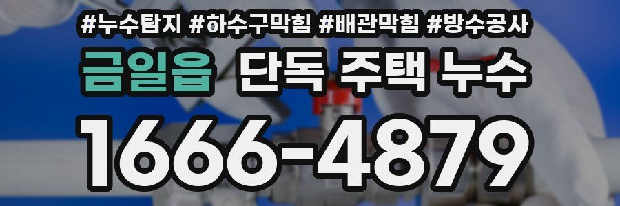 금일읍 단독 주택 누수