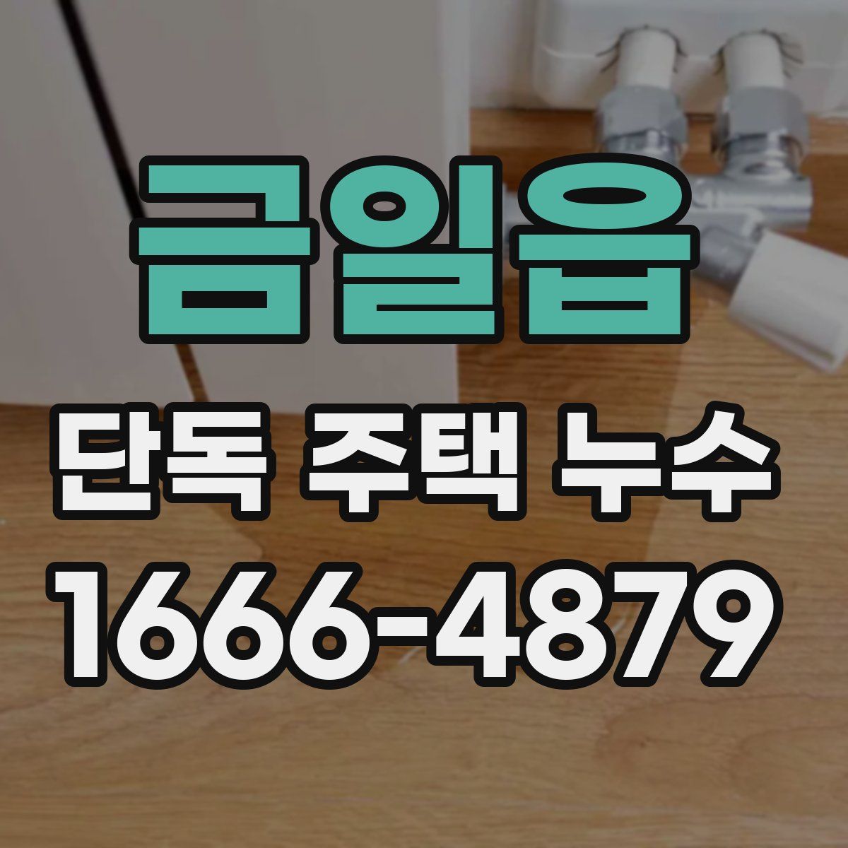 금일읍 단독 주택 누수