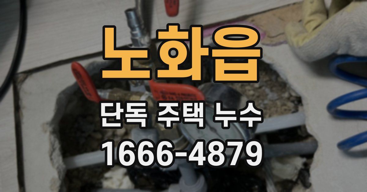 노화읍 단독 주택 누수