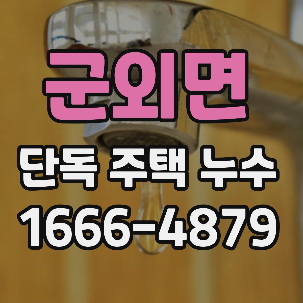 군외면 단독 주택 누수