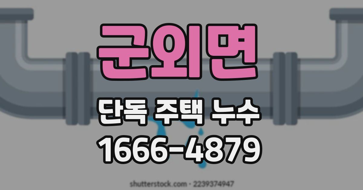 군외면 단독 주택 누수