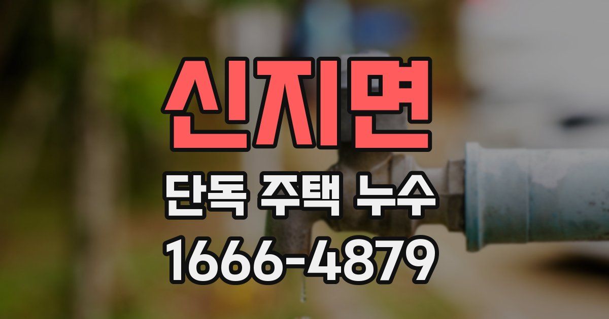 신지면 단독 주택 누수