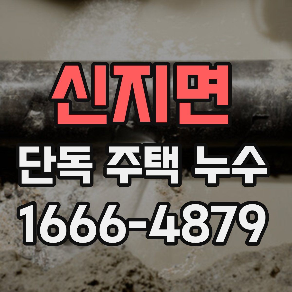 신지면 단독 주택 누수