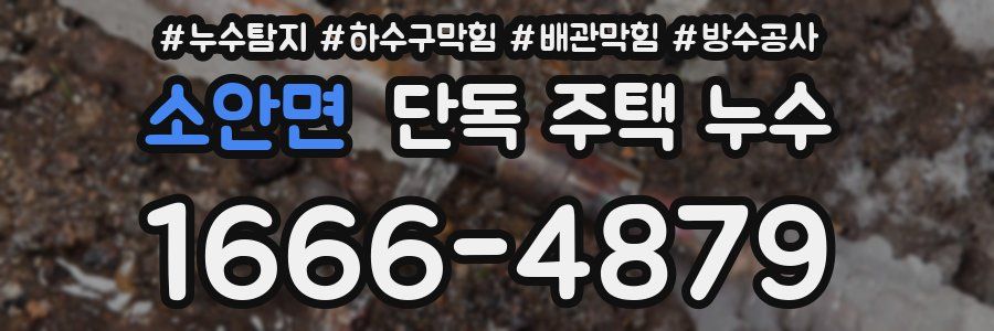 소안면 단독 주택 누수