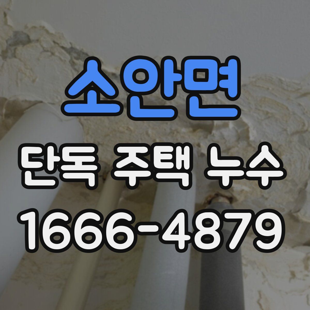 소안면 단독 주택 누수