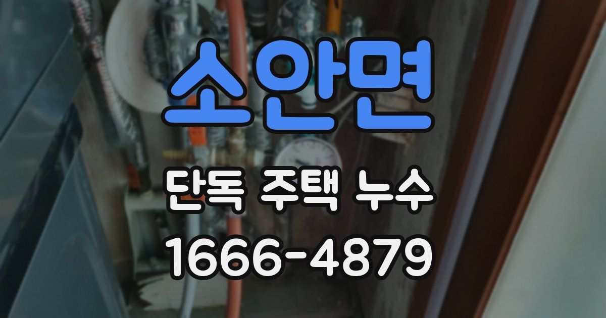 소안면 단독 주택 누수