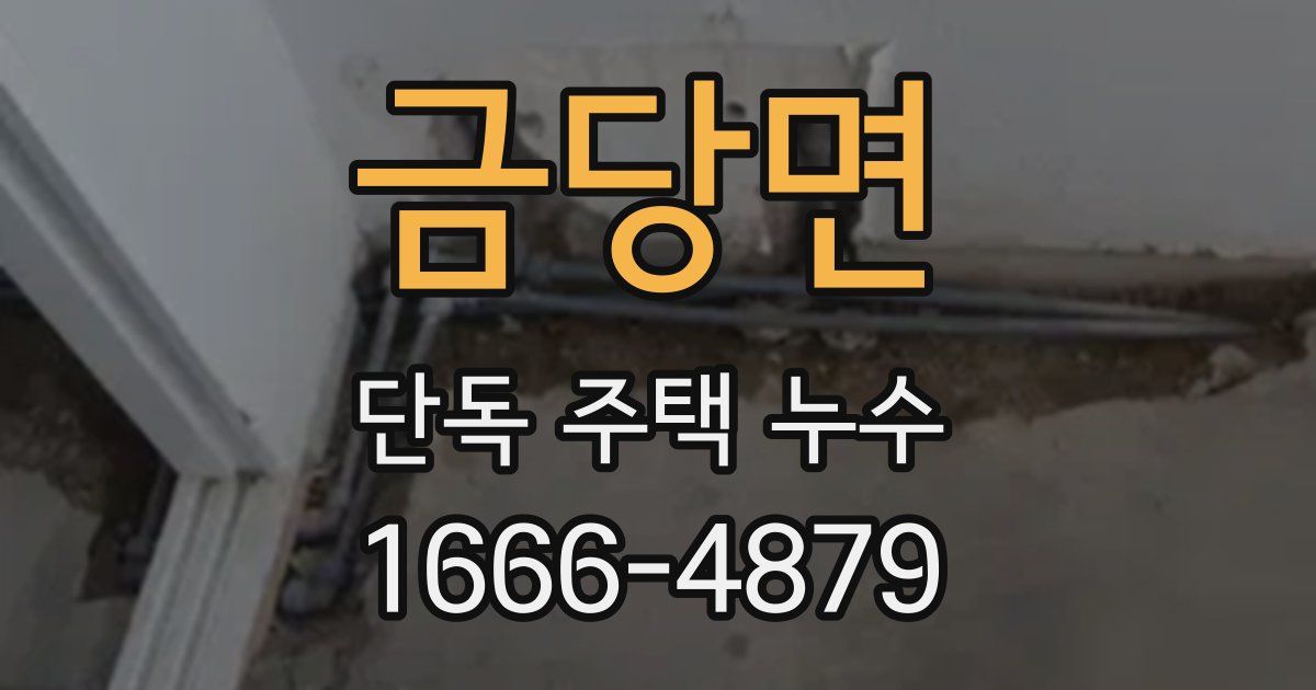금당면 단독 주택 누수