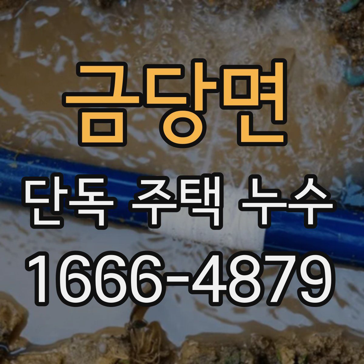 금당면 단독 주택 누수