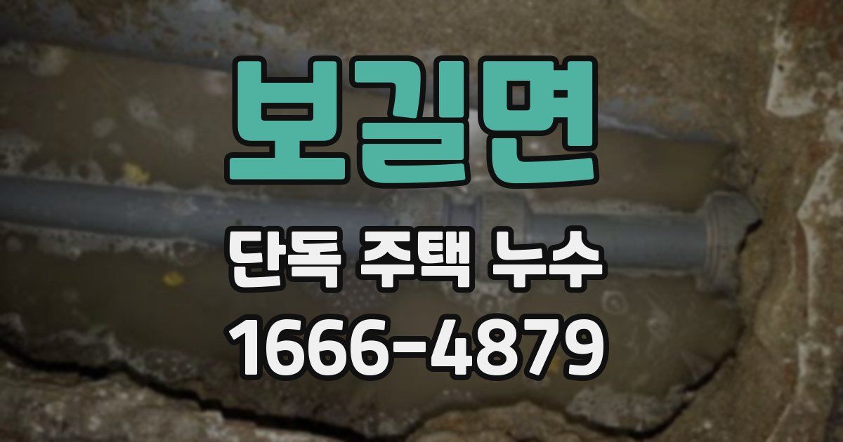 보길면 단독 주택 누수