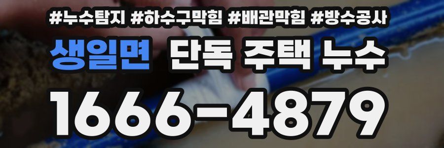 생일면 단독 주택 누수