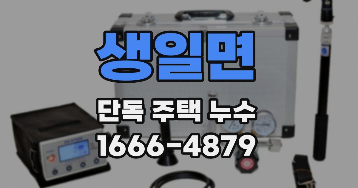 생일면 단독 주택 누수