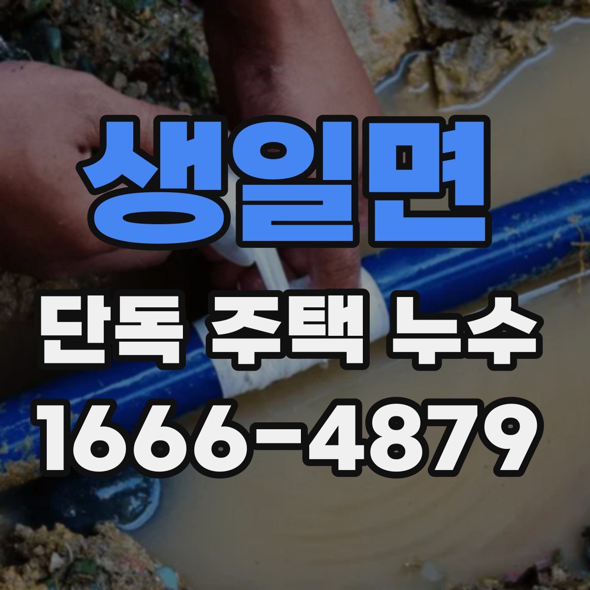생일면 단독 주택 누수