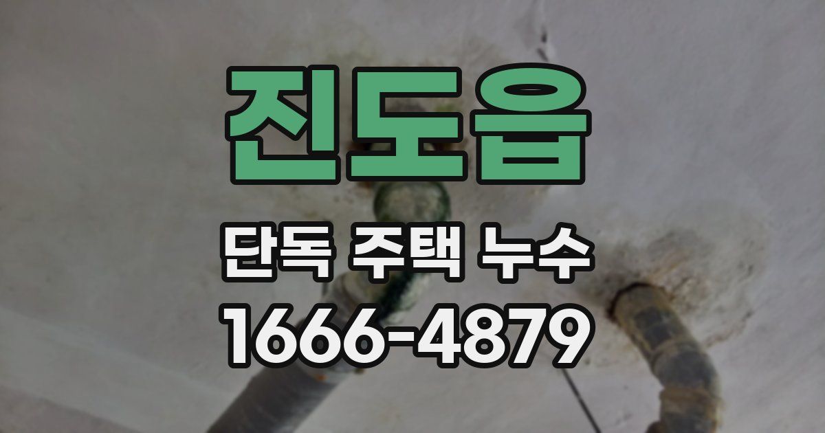 진도읍 단독 주택 누수