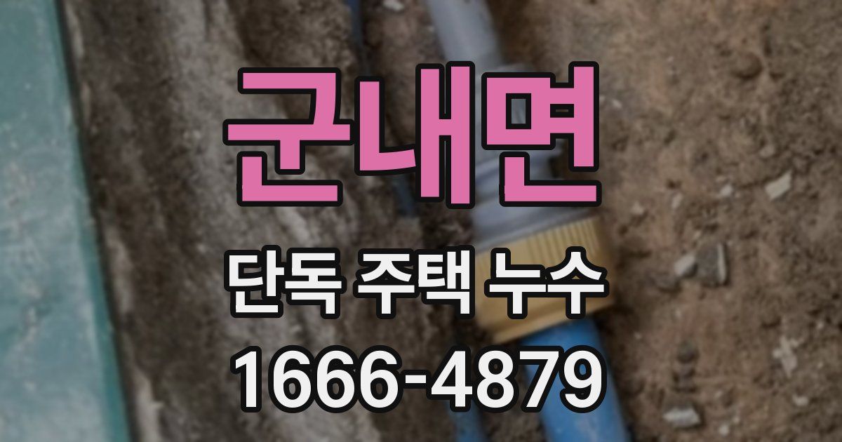 군내면 단독 주택 누수