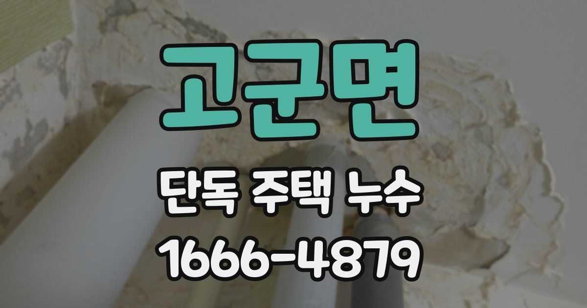 고군면 단독 주택 누수