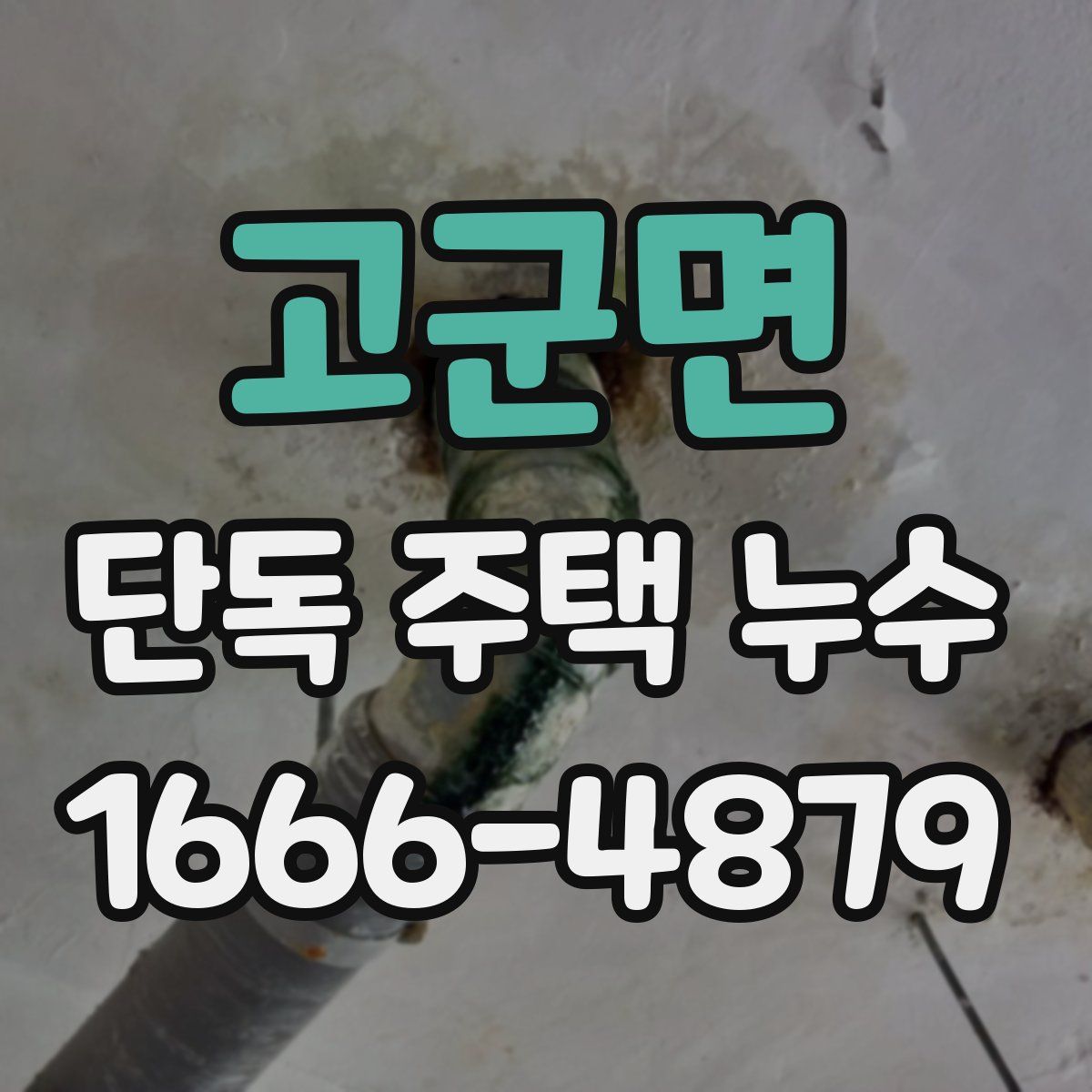 고군면 단독 주택 누수