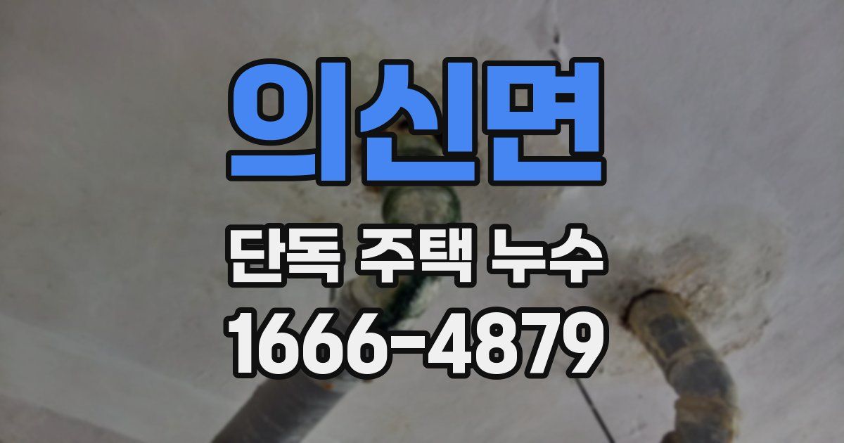 의신면 단독 주택 누수